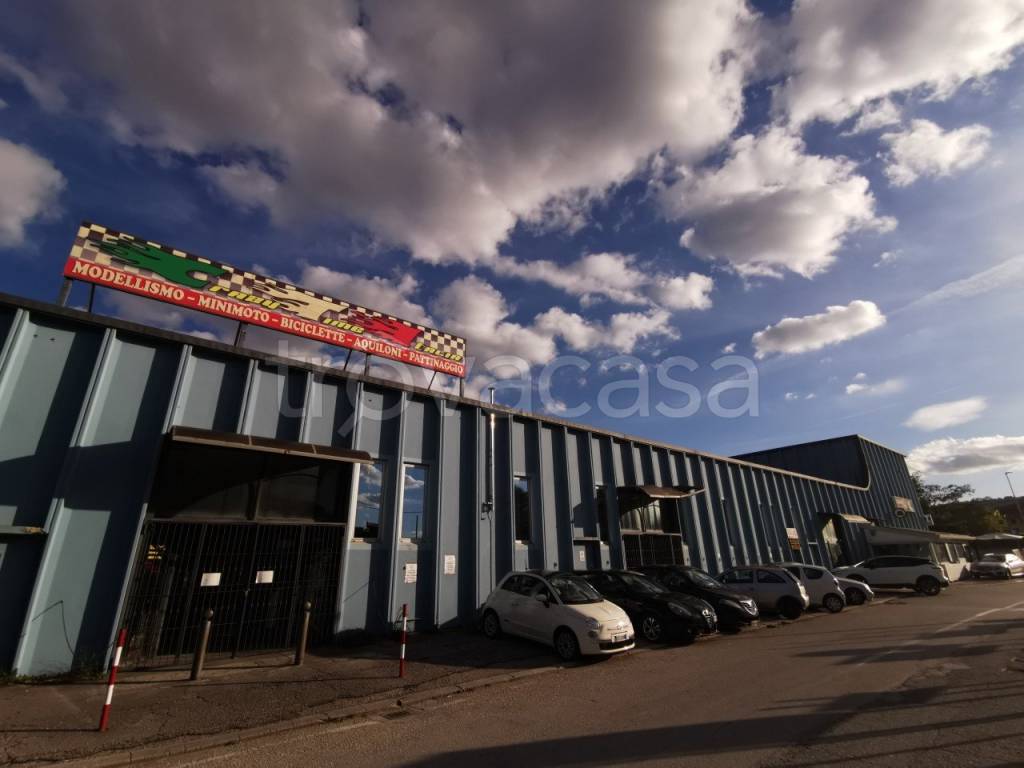 immagine annuncio 4 di 12