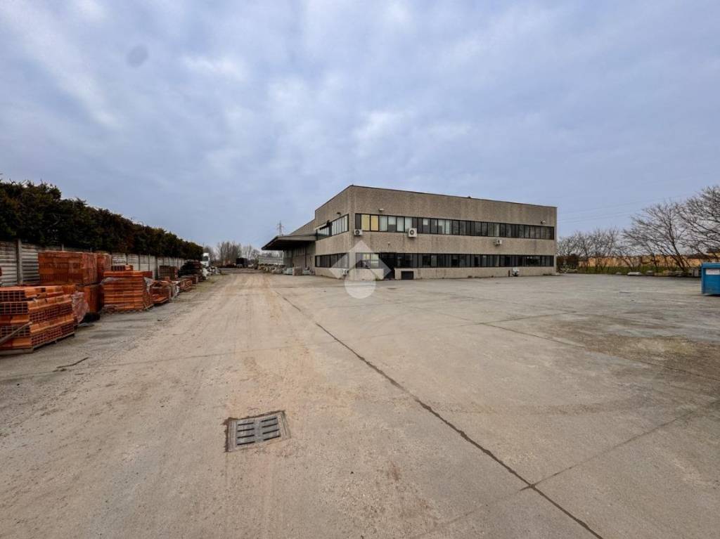 immagine annuncio 6 di 15