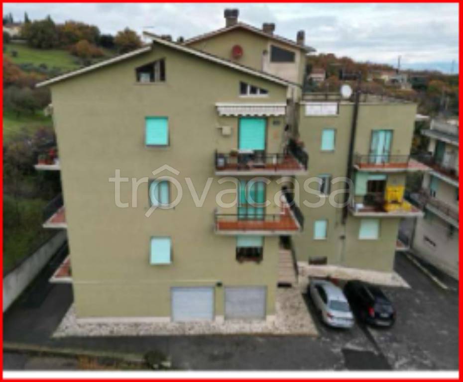 immagine annuncio 2 di 12