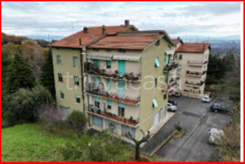 immagine annuncio 3 di 12