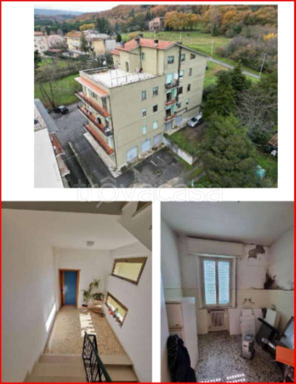 immagine annuncio 5 di 12