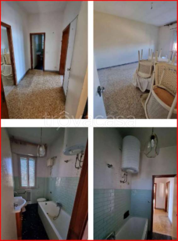 immagine annuncio 7 di 12