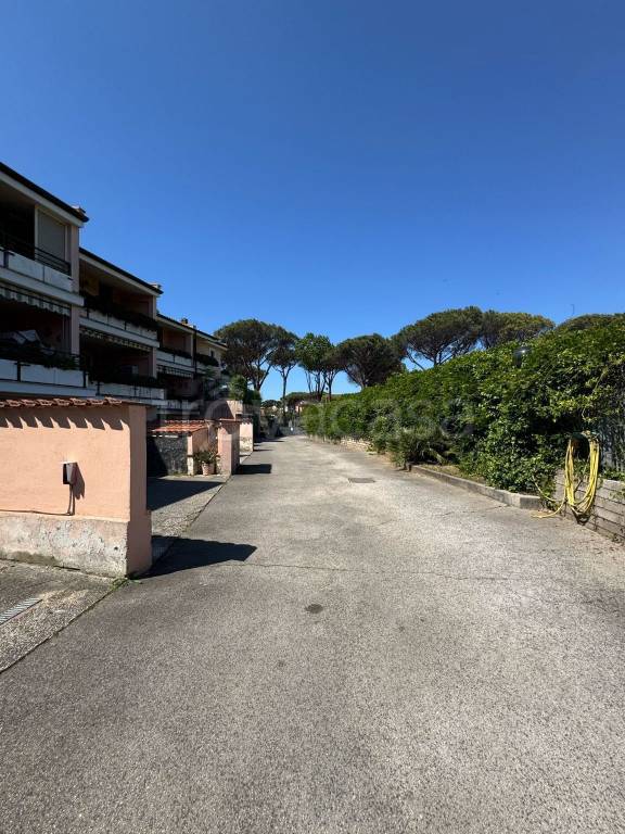 immagine annuncio 11 di 14