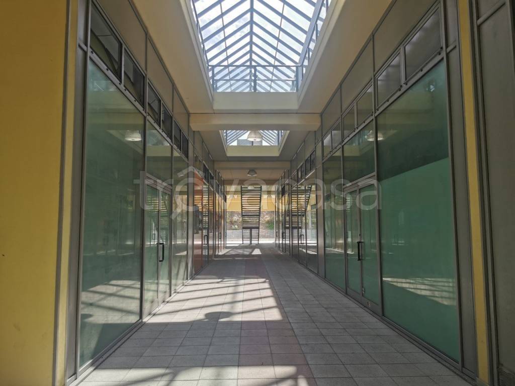 immagine annuncio 11 di 14