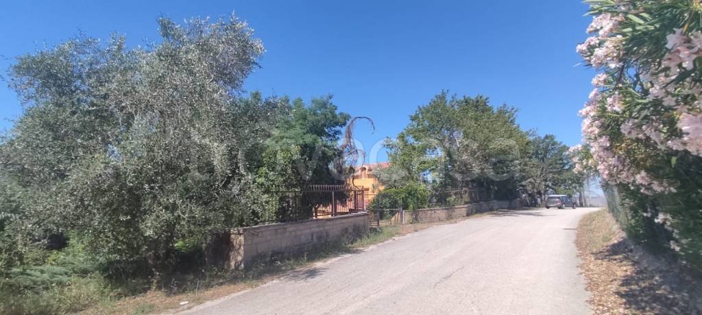 immagine annuncio 5 di 6