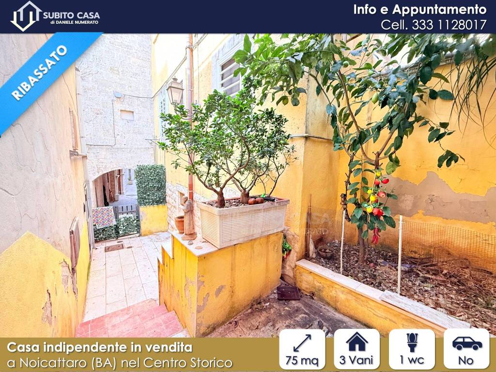 immagine annuncio 10 di 12