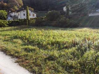 Terreno agricolo in vendita a belluno via meassa
