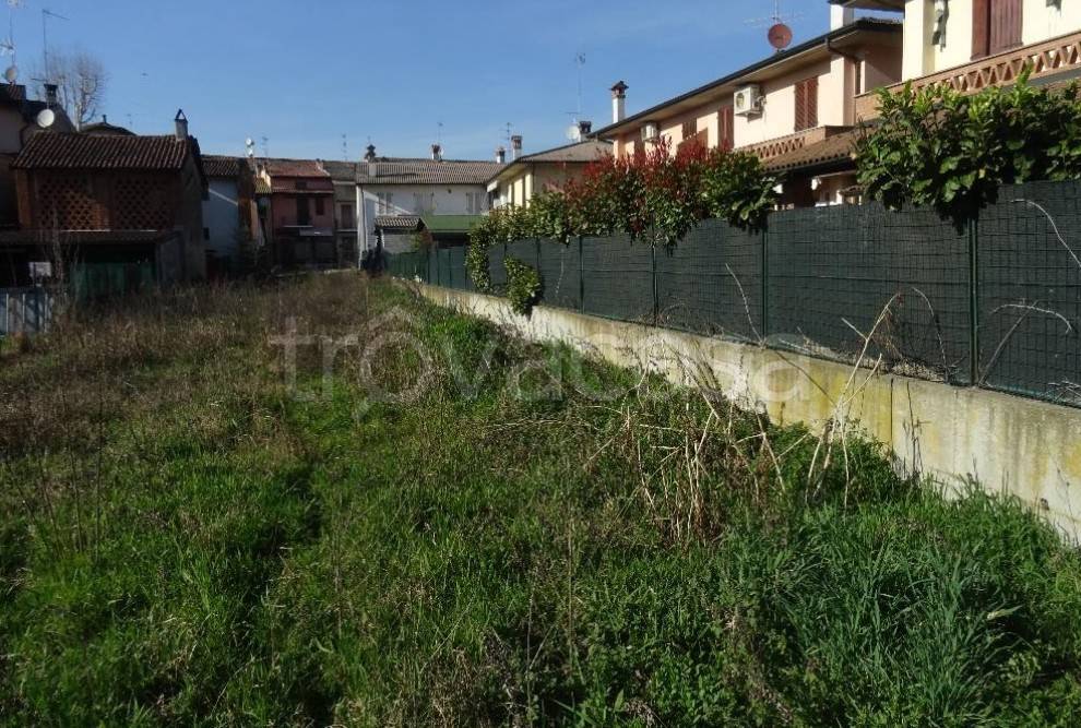immagine annuncio 4 di 7