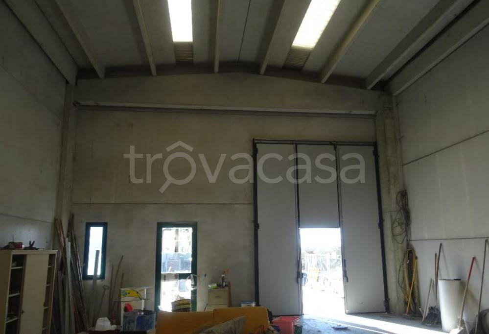 immagine annuncio 4 di 14