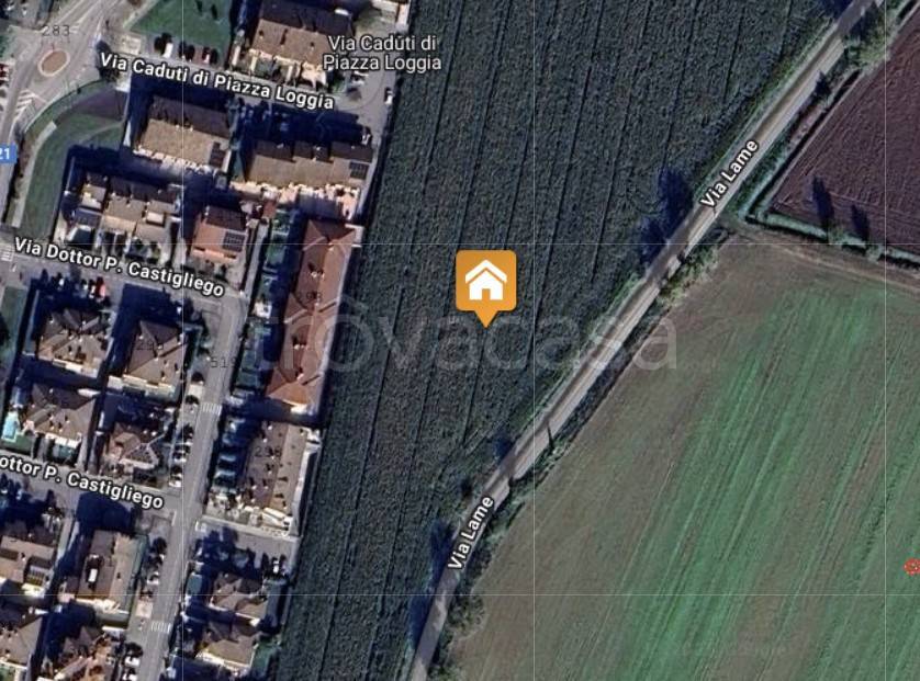 immagine annuncio 3 di 8