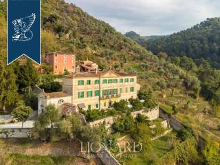 Villa in vendita a camaiore 
