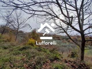 Terreno commerciale all'asta a santopadre via canale, 63, 63