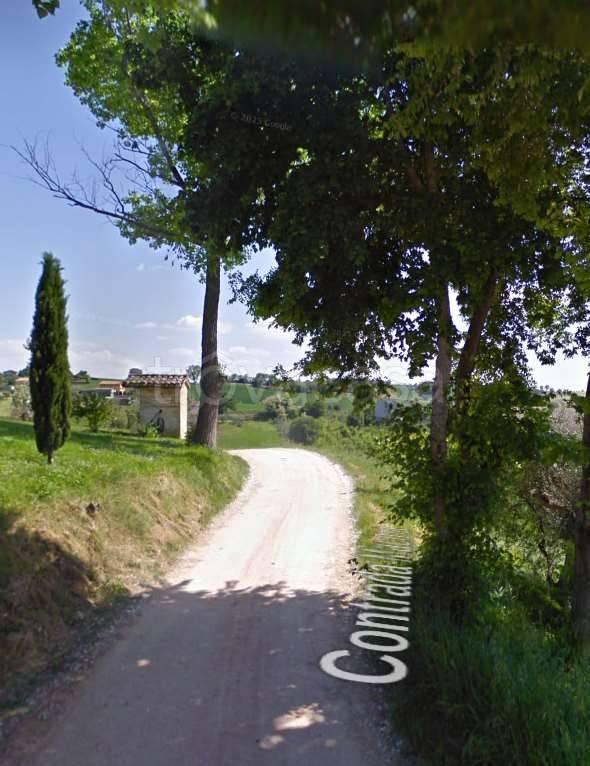 immagine annuncio 7 di 11