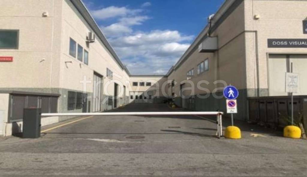immagine annuncio 3 di 11