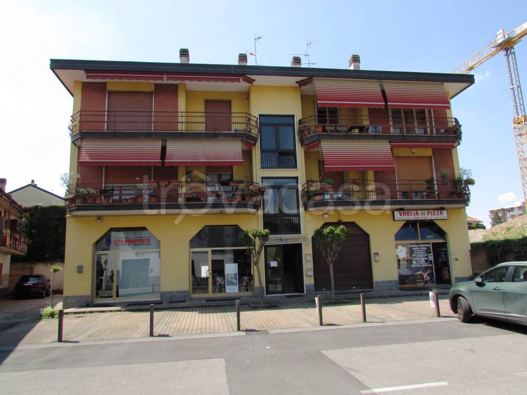 immagine annuncio 1 di 15