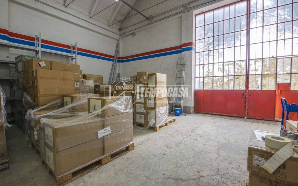 immagine annuncio 6 di 15