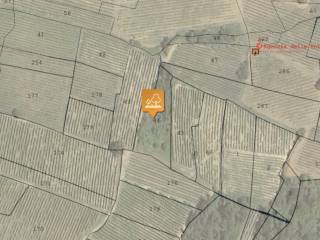 Terreno agricolo all'asta a cigognola frazione colombera- frazione monteguzzo