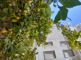 Appartamento in vendita a levanto via trento e trieste, 10