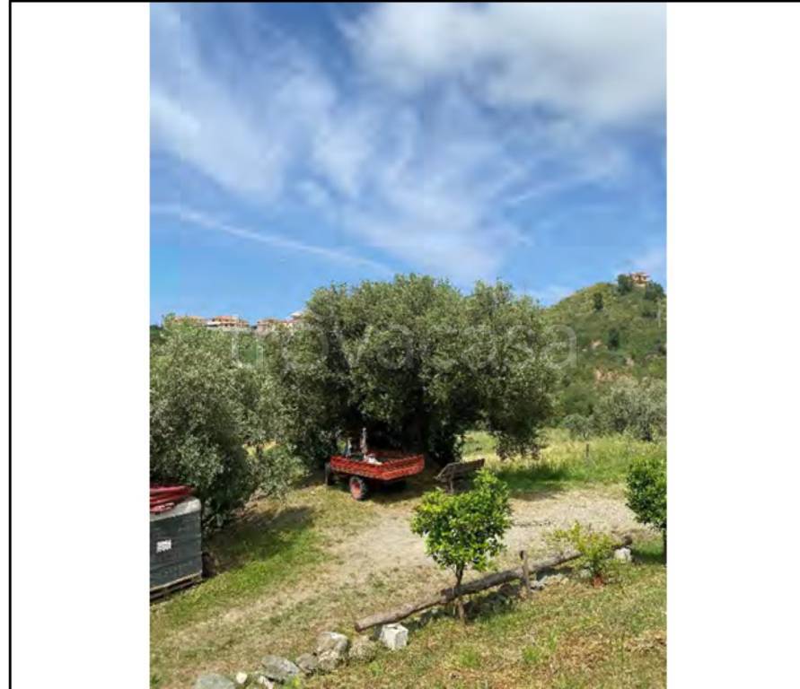 immagine annuncio 4 di 14