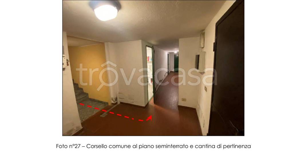 immagine annuncio 10 di 14