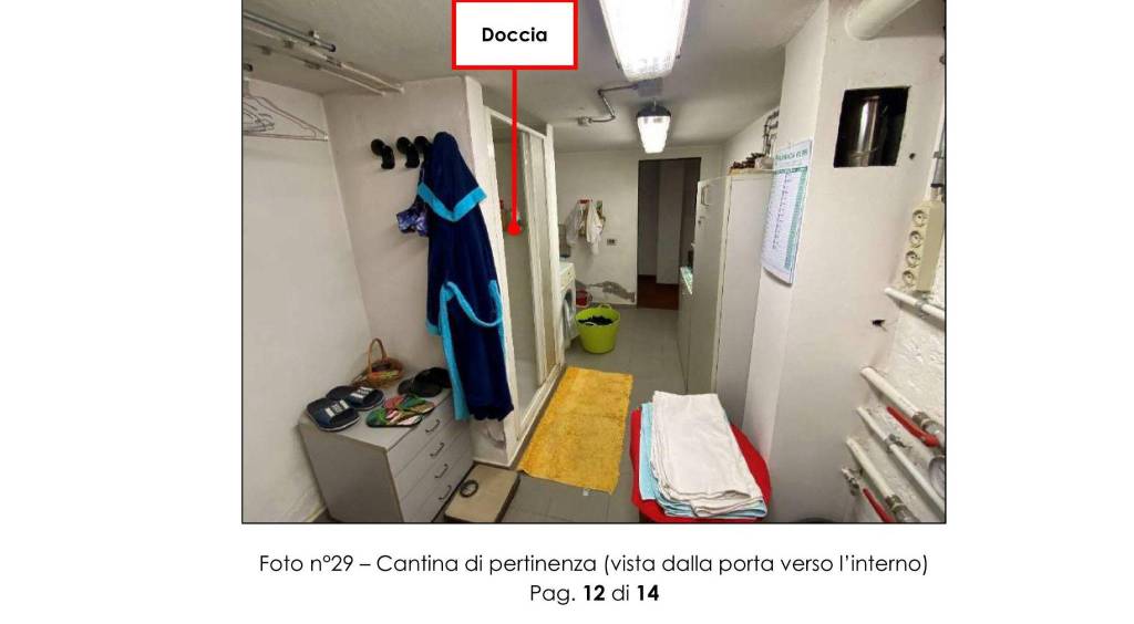 immagine annuncio 11 di 14