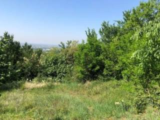 Terreno agricolo all'asta a botticino strada comunale del noventa, snc