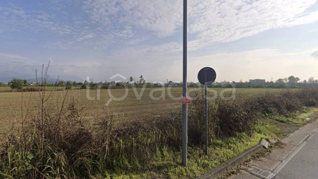 immagine annuncio 3 di 8