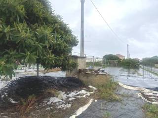 Terreno agricolo in vendita ad albenga prato del vescovo