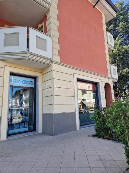immagine annuncio 3 di 12