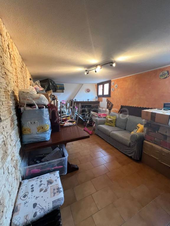 immagine annuncio 9 di 14