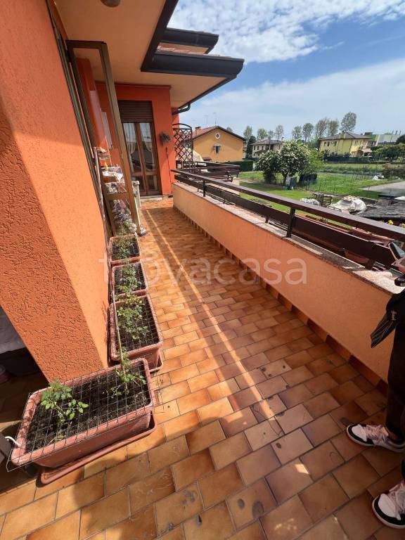 immagine annuncio 10 di 14