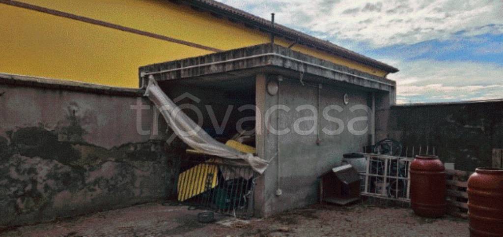 immagine annuncio 12 di 13