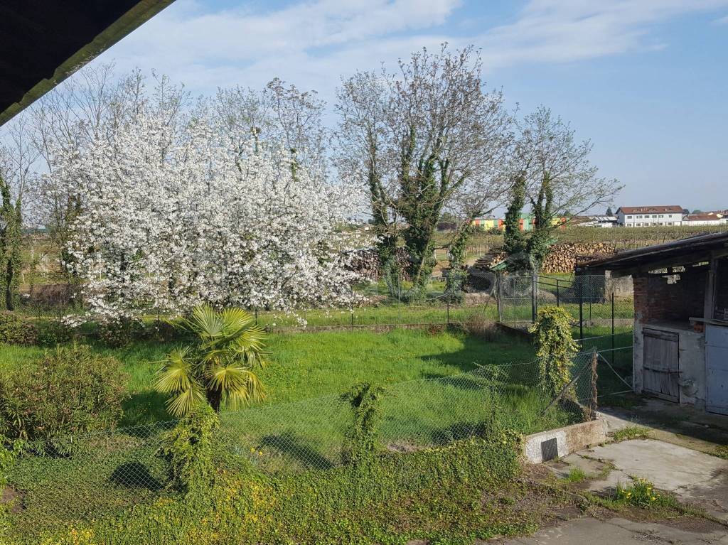 immagine annuncio 2 di 13