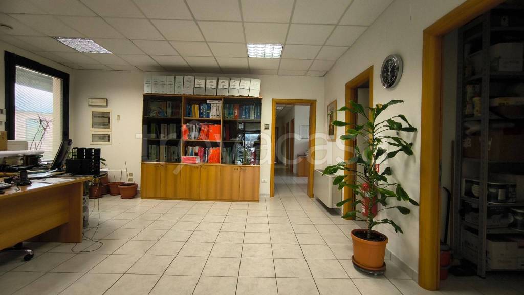 immagine annuncio 2 di 7