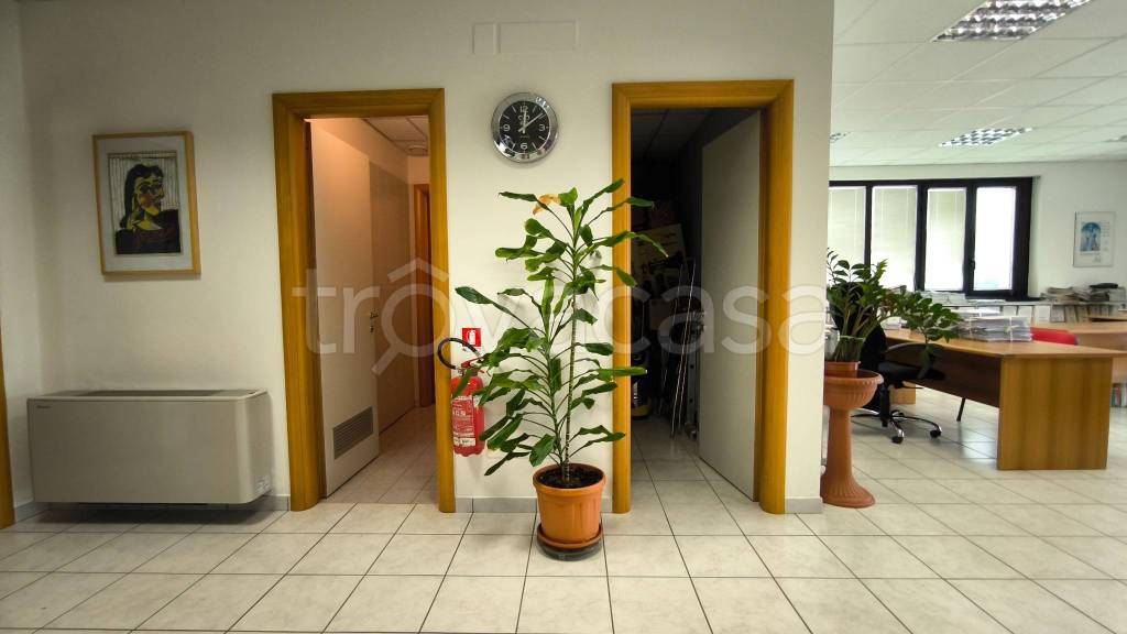 immagine annuncio 3 di 7