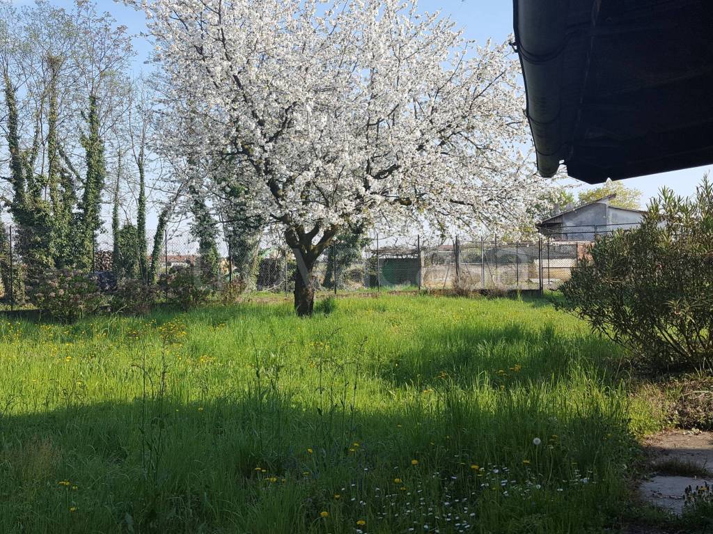 immagine annuncio 4 di 13