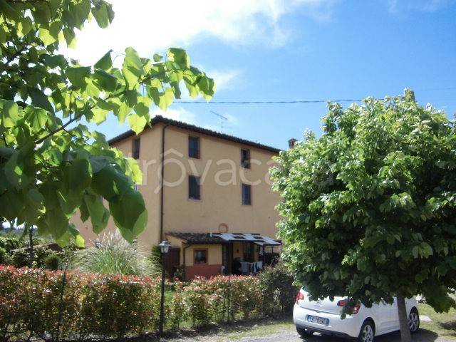 immagine annuncio 9 di 14