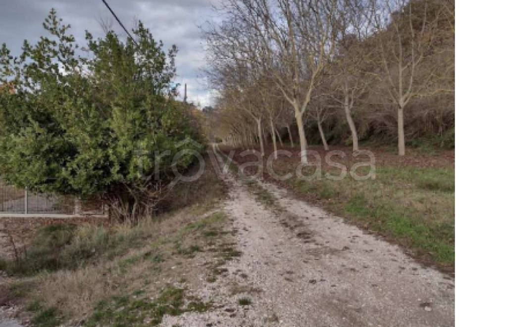 immagine annuncio 6 di 11