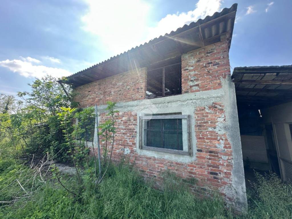 immagine annuncio 3 di 15