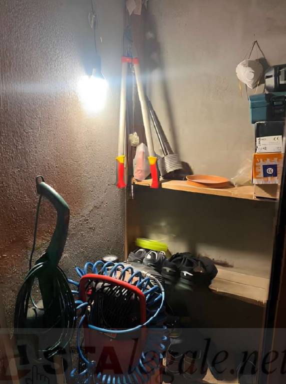 immagine annuncio 11 di 15