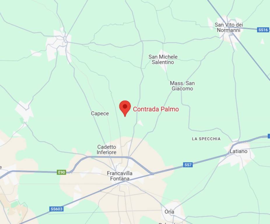 immagine annuncio 10 di 11