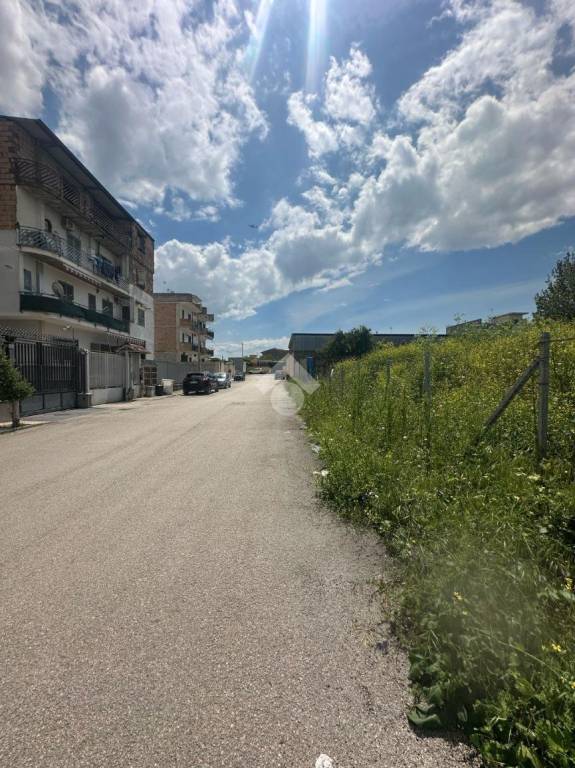 immagine annuncio 6 di 11