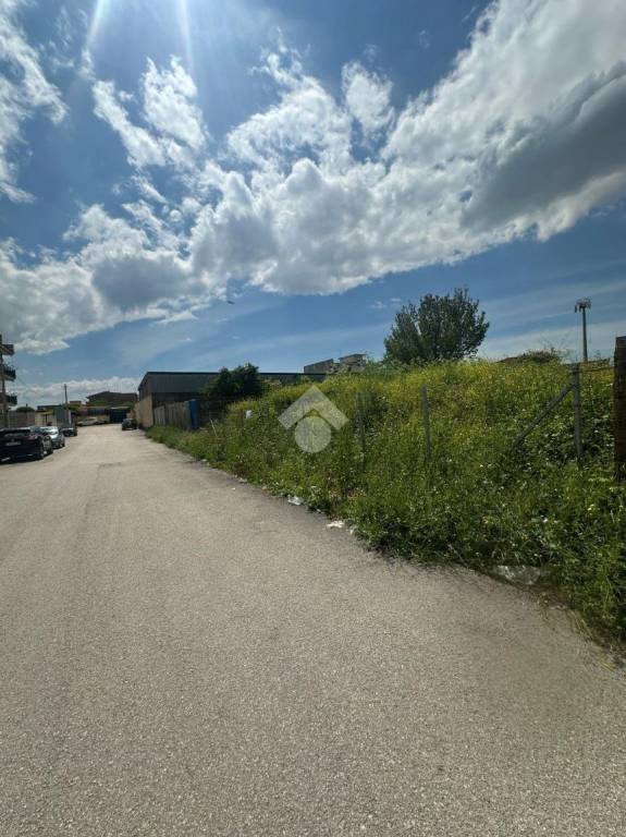 immagine annuncio 7 di 11