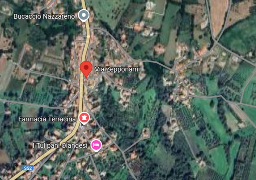 immagine annuncio 2 di 11