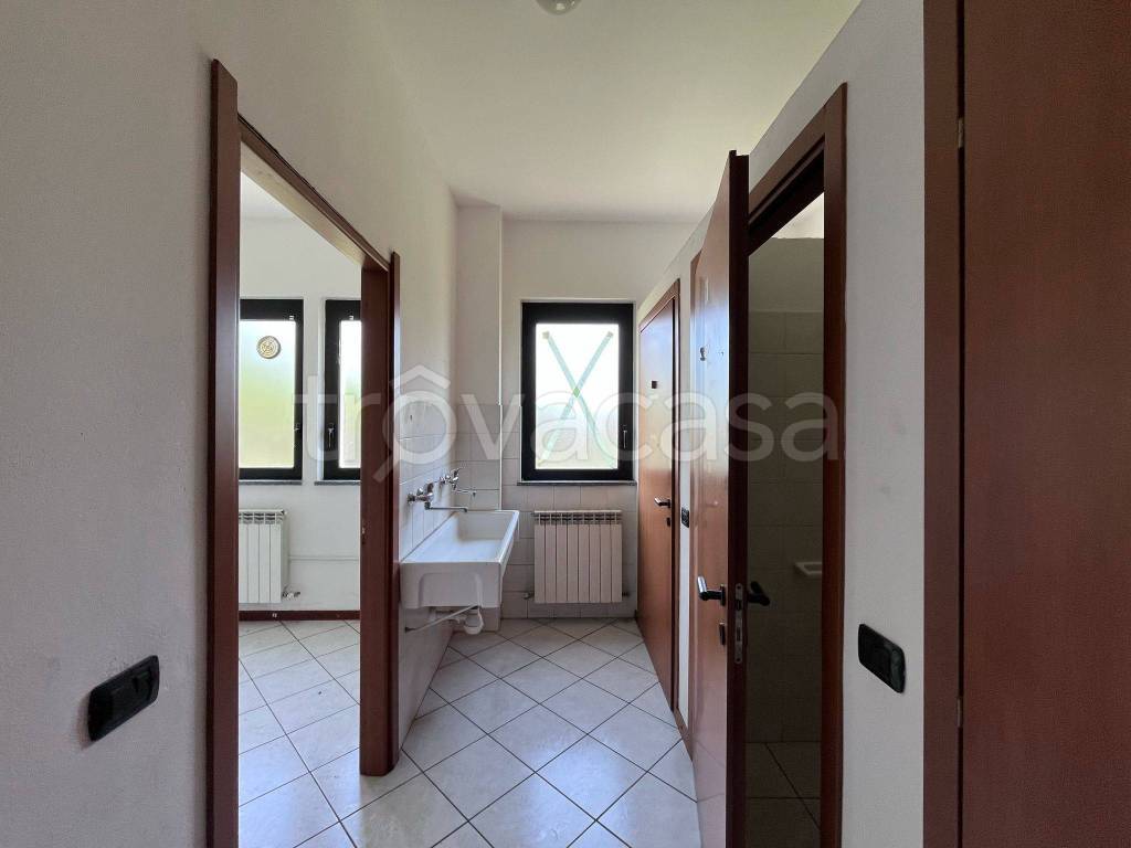 immagine annuncio 9 di 14