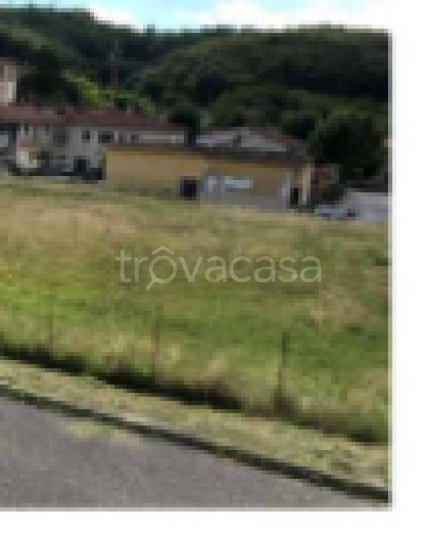 immagine annuncio 5 di 7
