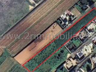 Terreno agricolo in vendita a mazara del vallo 