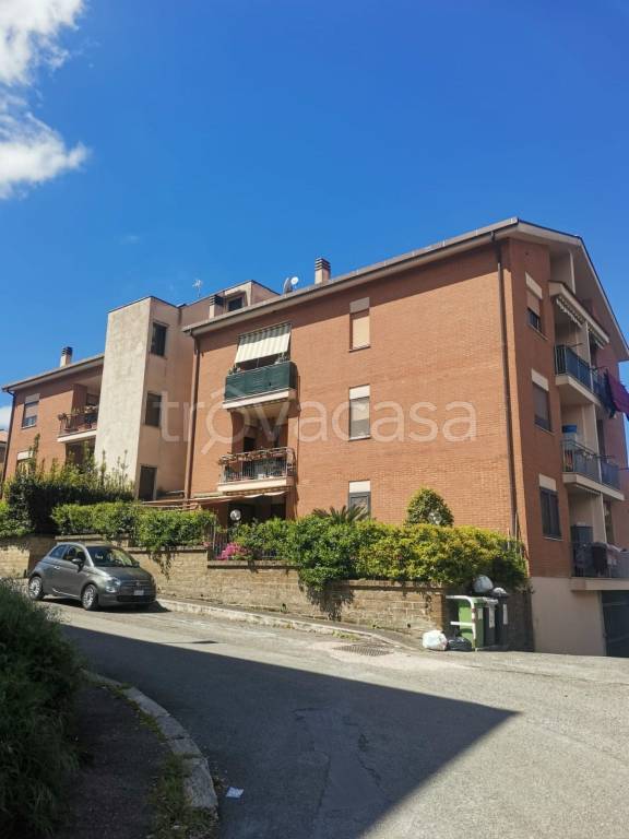 immagine annuncio 11 di 12