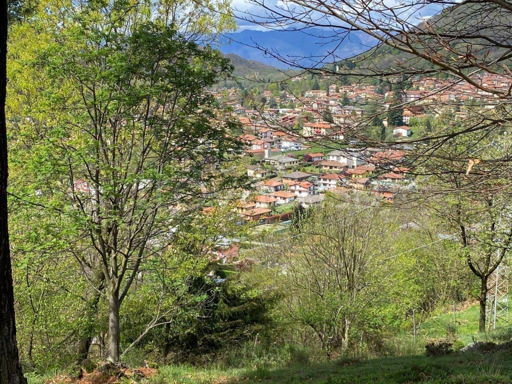immagine annuncio 7 di 13