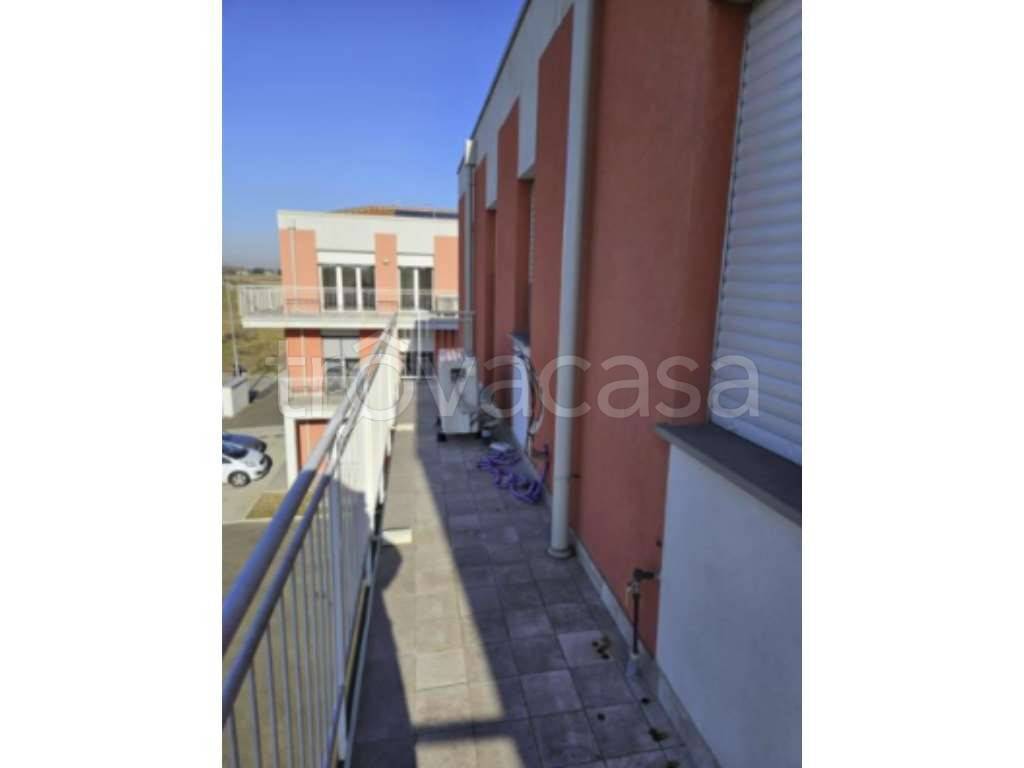 immagine annuncio 8 di 11